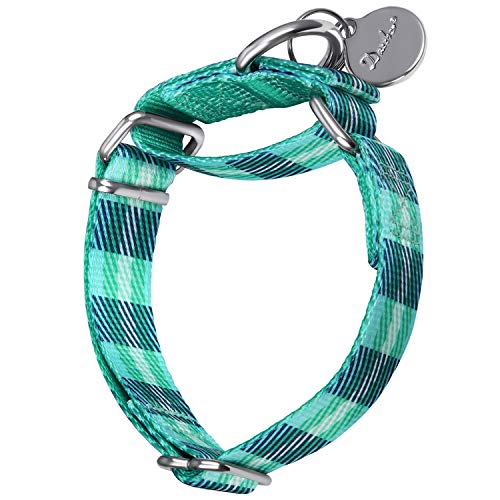 Dazzber Martingal Halsbänder für Hunde, Einstellbar-Heavy Duty- Weiche-Glatte-Leichtes Gehen Sie den Hund für Große/Klein Hunde (Mittlere, 2.5cm Breit, Köper Plaid) von Dazzber