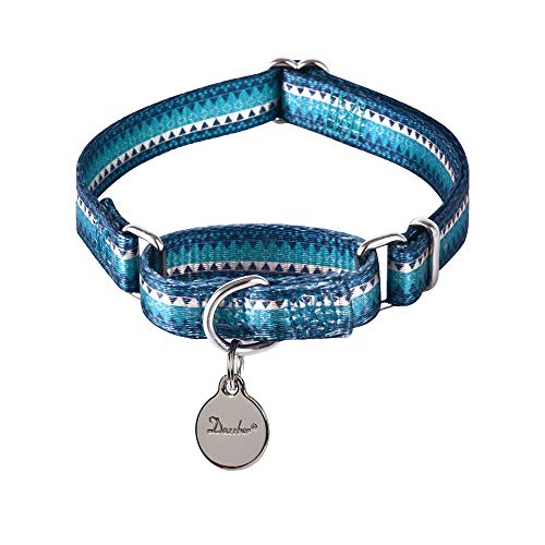Dazzber Martingal Halsbänder für Hunde, Einstellbar-Heavy Duty- Weiche-Glatte-Leichtes Gehen Sie den Hund für Klein Hunde (Extra klein, Türkis Grün) von Dazzber