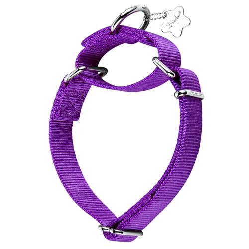 Dazzber Martingal Halsbänder für Hunde, Verstellbar Langlebig Kein Escape Stop Ziehen Hundehalsband Nylon für Große/Mittlere/Kleine Hunde (L(42cm-66cm), Dunkel Orchidee) von Dazzber