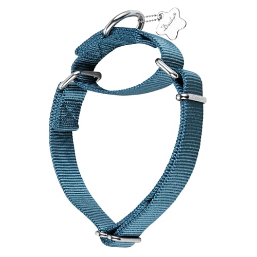 Dazzber Martingal Halsbänder für Hunde, Verstellbar Langlebig Kein Escape Stop Ziehen Hundehalsband Nylon für Große/Mittlere/Kleine Hunde (L(42cm-66cm), Haze Blau) von Dazzber