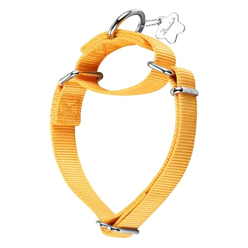 Dazzber Martingal Halsbänder für Hunde, Verstellbar Langlebig Kein Escape Stop Ziehen Hundehalsband Nylon für Große/Mittlere/Kleine Hunde (L(42cm-66cm), Helles Gelb) von Dazzber