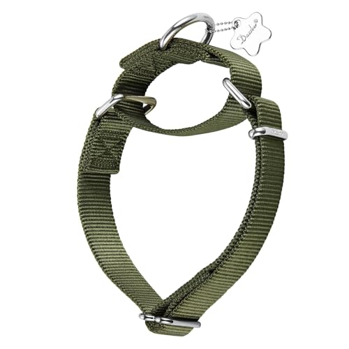 Dazzber Martingal Halsbänder für Hunde, Verstellbar Langlebig Kein Escape Stop Ziehen Hundehalsband Nylon für Große/Mittlere/Kleine Hunde (L(42cm-66cm), Militärgrün) von Dazzber