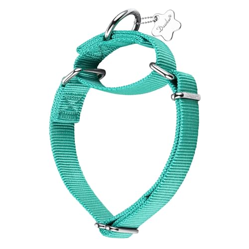 Dazzber Martingal Halsbänder für Hunde, Verstellbar Langlebig Kein Escape Stop Ziehen Hundehalsband Nylon für Große/Mittlere/Kleine Hunde (L(42cm-66cm), Teal-Blau) von Dazzber