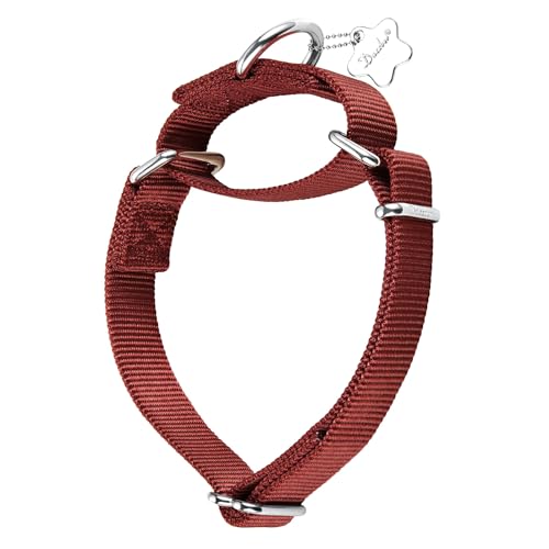 Dazzber Martingal Halsbänder für Hunde, Verstellbar Langlebig Kein Escape Stop Ziehen Hundehalsband Nylon für Große/Mittlere/Kleine Hunde (L(42cm-66cm), Ziegelrot) von Dazzber