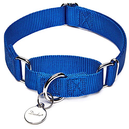 Dazzber Martingal Halsbänder für Hunde, Verstellbar Langlebig Kein Escape Stop Ziehen Hundehalsband Nylon für Große/Mittlere/Kleine Hunde (L, Blau) von Dazzber