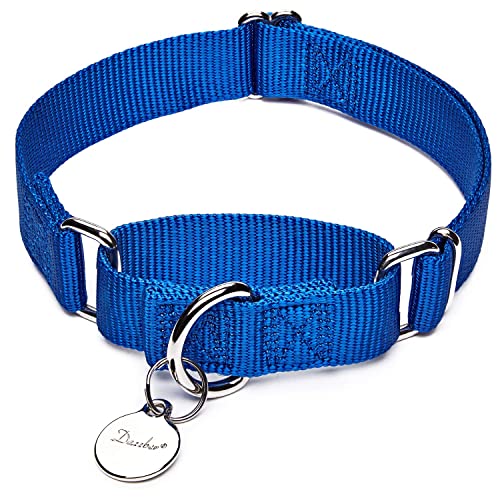 Dazzber Martingal Halsbänder für Hunde, Verstellbar Langlebig Kein Escape Stop Ziehen Hundehalsband Nylon für Große/Mittlere/Kleine Hunde (M(36cm-53cm), Blau) von Dazzber