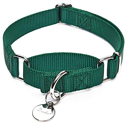 Dazzber Martingal Halsbänder für Hunde, Verstellbar Langlebig Kein Escape Stop Ziehen Hundehalsband Nylon für Große/Mittlere/Kleine Hunde (M(36cm-53cm), Dunkelgrün) von Dazzber