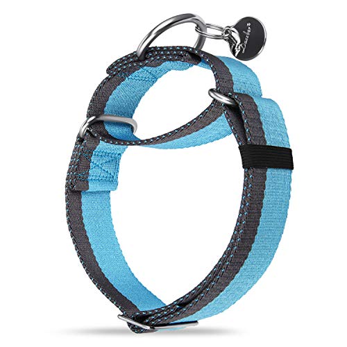 Dazzber Martingal Halsbänder für Mittel/Große Hunde 4cm Breites, Extra Starkes, Verstellbar, Hohe Farbechtheit- Nylon 2 Farbe Gestreift Weit Hundehalsband (Babyblau & Grau, Extra groß, 4cm Breit) Dazzber Martingal Halsbänder für Mittel/Große Hunde 4cm Breites, Extra Starkes, Verstellbar, Hohe Farbechtheit- Nylon 2 Farbe Gestreift Weit Hundehalsband (Babyblau & Grau, Extra groß, 4cm Breit) von Dazzber