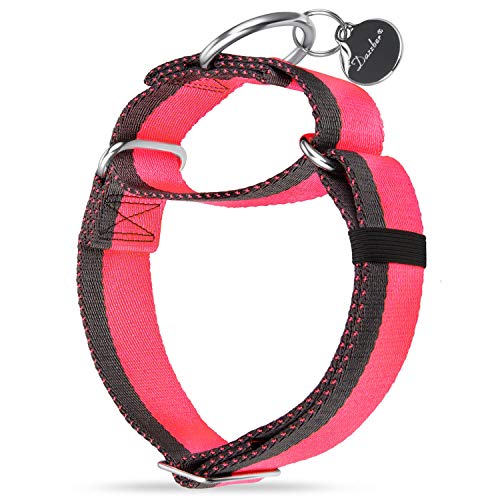 Dazzber Martingal Halsbänder für Mittel/Große Hunde 4cm Breites, Extra Starkes, Verstellbar, Hohe Farbechtheit- Nylon 2 Farbe Gestreift Weit Hundehalsband (Extra groß, 4cm Breit, Pink & Grau) von Dazzber