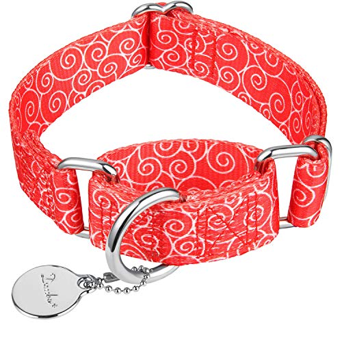 Dazzber Martingale Halsbänder für Hunde, kein Ziehen, Anti-Flucht-Halsband, strapazierfähig für mittelgroße und große Hunde, verstellbar 43,2 cm bis 63,3 cm, Rot, verheißungsvolle Wolke Dazzber Martingale Halsbänder für Hunde, kein Ziehen, Anti-Flucht-Halsband, strapazierfähig für mittelgroße und große Hunde, verstellbar 43,2 cm bis 63,3 cm, Rot, verheißungsvolle Wolke von Dazzber