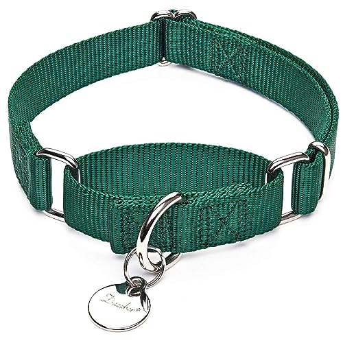 Dazzber Martingale-Halsbänder für Hunde, verstellbar, langlebig, einfarbig, Nylon, Hundehalsbänder für große/mittelgroße, kleine Hunde (Medium (36–53 cm) (1 Stück), Dunkelgrün von Dazzber