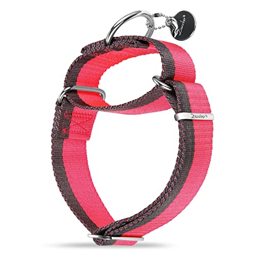 Dazzber Martingale Halsband, 3.8 cm breit, 1200D, extra starkes Nylon-Hundehalsband, strapazierfähiges Hundehalsband mit 2-farbigen Streifen für mittelgroße bis XL Hunde (Medium, Hot Pink und Grau) von Dazzber