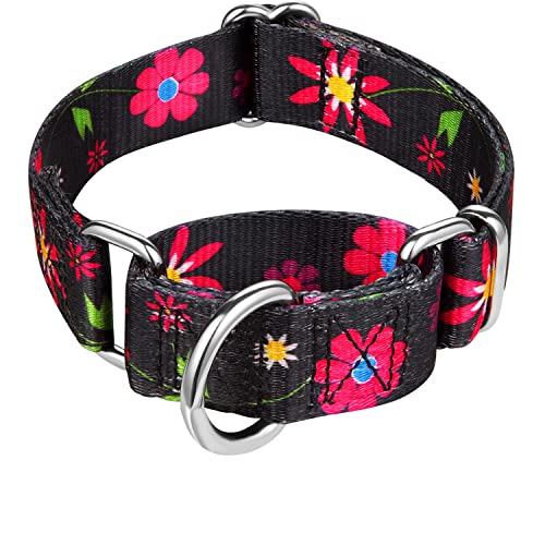 Dazzber Martingale Hundehalsband mit Blumendruck, kein Ziehen, strapazierfähig, für mittelgroße Hunde, verstellbarer Halsumfang 35,6 cm bis 53,3 cm, Sonnenblume (Schwarz) von Dazzber