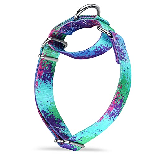 Dazzber Martingale Hundehalsbänder Bunte Ölgemälde Muster Serie - No Pull Haustierhalsband Seidig weich für mittlere und große Hunde (Groß, 2,5 cm breit, Ökologie-Oase) von Dazzber