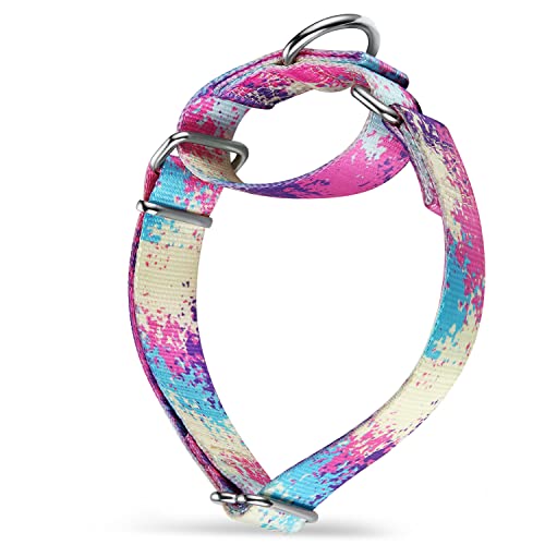 Dazzber Martingale Hundehalsbänder Bunte Ölgemälde Muster Serie - No Pull Haustierhalsband Seidig weich für mittlere und große Hunde (Groß, 2,5 cm breit, Überfluss Bunt) von Dazzber