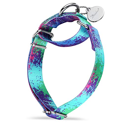 Dazzber Martingale Hundehalsbänder Bunte Ölgemälde Muster Serie - No Pull Haustierhalsband Seidig weich für mittlere und große Hunde (Klein, 1,5 cm breit, Ökologie-Oase) von Dazzber