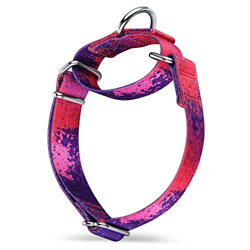 Dazzber Martingale Hundehalsbänder Bunte Ölgemälde Muster Serie - No Pull Haustierhalsband Seidig weich für mittlere und große Hunde (Mittel, 2,5 cm breit, Lila Geheimnis) von Dazzber