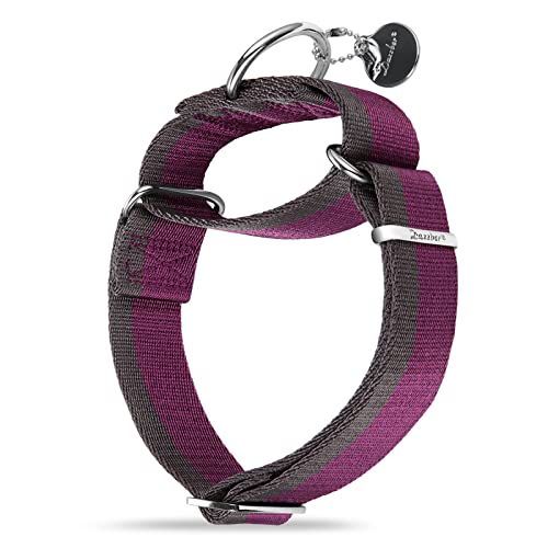 Dazzber Martingale Hundehalsband, 3.8 cm breit, 1200D, extra starkes Nylon, kein Ziehen, lila, rot und grau) von Dazzber