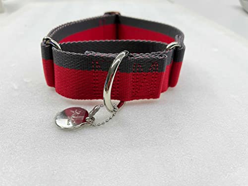 Dazzber Martingale Hundehalsband, 3.8 cm breit, 1200D, extra starkes Nylon, strapazierfähiges Hundehalsband mit 2-farbigen Streifen für mittelgroße bis XLgroße Hunde (Medium, rot und grau) von Dazzber