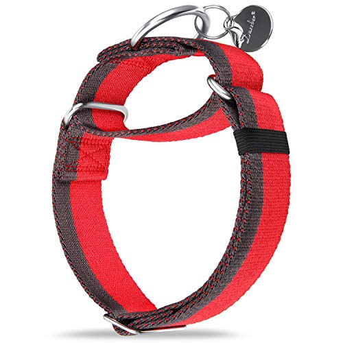 Dazzber Martingal Halsbänder für Mittel/Große Hunde 4cm Breites, Extra Starkes, Verstellbar, Hohe Farbechtheit- Nylon 2 Farbe Gestreift Weit Hundehalsband (Rot & Grau, Mittel, 4cm Breit) von Dazzber