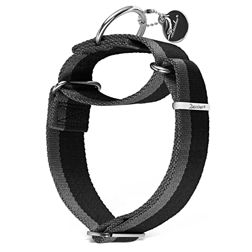 Dazzber Martingale Hundehalsband, 3.8 cm breit, 1200D, extra starkes Nylon, strapazierfähiges Hundehalsband mit 2-farbigen Streifen für mittelgroße bis XLgroße Hunde (Medium, schwarz und grau) von Dazzber
