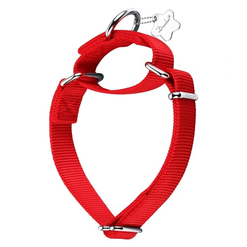 Dazzber Martingale-Hundehalsband, Nylon, kein Ziehen, strapazierfähig, für mittelgroße und große Hunde, 2,5 cm breit, Rot von Dazzber