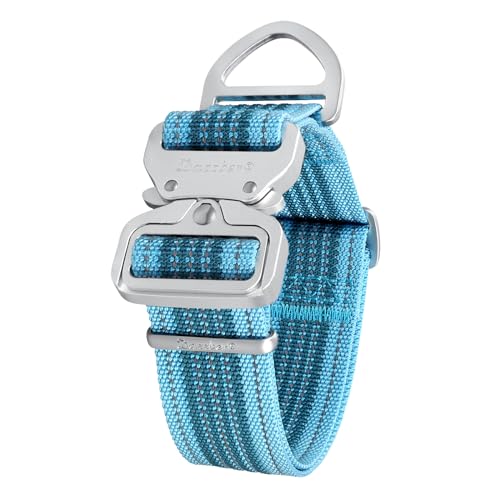 Martingale-Halsband, stark und extra dicker, strapazierfähiges Hundehalsband für mittelgroße bis große Hunde (XL, blau) von Dazzber