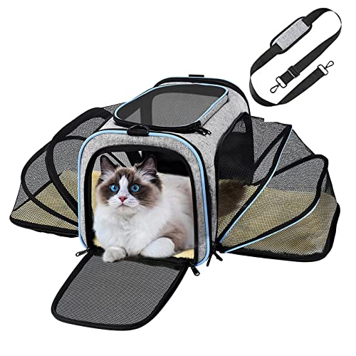(10997 Grau/Hellblau) Haustier-Transporttasche Katzentasche Hundebox Transportbox Tragebox Hunde Katzen Hundetasche Katzentasche … von DbKW