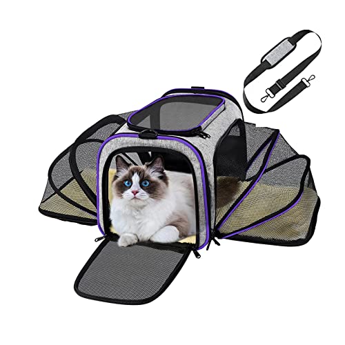 (10998 Grau/Lila) Haustier-Transporttasche Katzentasche Hundebox Transportbox Tragebox Hunde Katzen Hundetasche Katzentasche … von DbKW