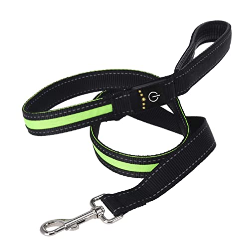 (Leine) LED Leine oder Halsband für Hunde, 2 Leucht-Modis, aus robustem Nylon, verstellbar, Reflektor. Leuchtleine, Halsband - Leuchthalsband - Hundebeleuchtung von DbKW