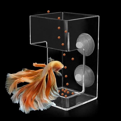 Dbeans Flourithing Transparenter Runder 2-In-1-Fischfutterautomatfutterring Aquarium Verringerung Der Filterverstopfung In Fischbecken Aquarium Futterring (transparente Seite) von Dbeans Flourithing