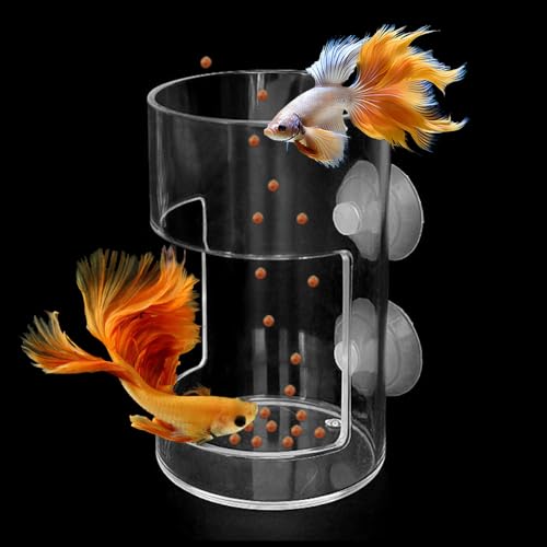 Dbeans Flourithing Transparenter Runder 2-In-1-Fischfutterautomatfutterring Aquarium Verringerung Der Filterverstopfung In Fischbecken Aquarium Futterring von Dbeans Flourithing