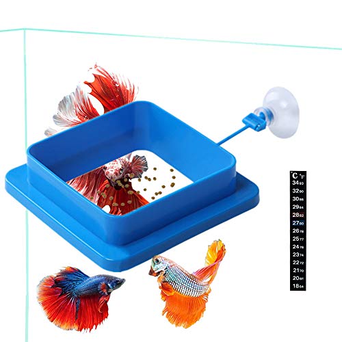 Fisch-Futterring, schwimmender Futterspender für dicke Quadrate, reduziert Abfall und hält die Wasserqualität, für Flocken und schwimmendes Fischfutter, für Guppy, Betta, Goldfisch usw von Dbeans Flourithing