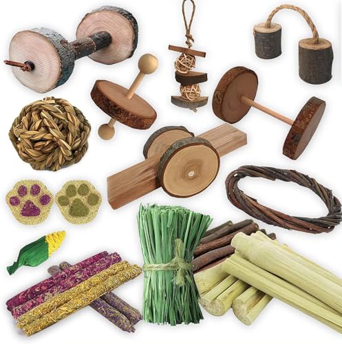Kaninchen Spielzeug, aus natürlichem Apfel und Birke, lustiges Trainingsspielzeug, meerschweinchen Spielzeug hält Ihr kleines Haustier näher an der Natur, Zahnpflege, Hamster, Rennmäuse (10pcs) von Dbeans Flourithing