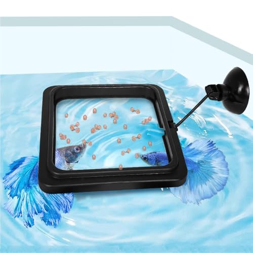 Schwarzes Quadrat futterring Aquarium Sicherer schwimmender Fütterungsring mit Saugnapf für einfache Installation Aquarium Futter - Geeignet für Guppy, Betta, Goldfisch, etc. von Dbeans Flourithing