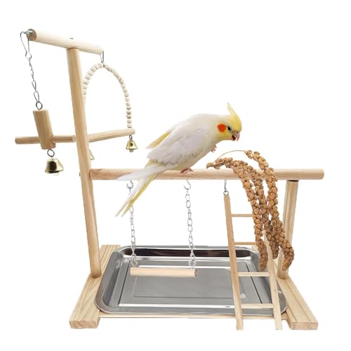 Vogelspielplatz, Papageienständer, Beißstäbe für Papageien, 3 Weizenohren, Vogelholz, hoher Standblock von Dbeans Flourithing
