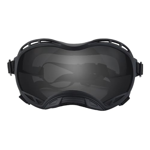Dcaknri Hunde Katzen Haustier Radfahren Brillen Haustier Reflexion Brille für kleine Hunde Katzen Haustier Sportzubehör Dcaknri Hunde Katzen Haustier Radfahren Brillen Haustier Reflexion Brille für kleine Hunde Katzen Haustier Sportzubehör von Dcaknri