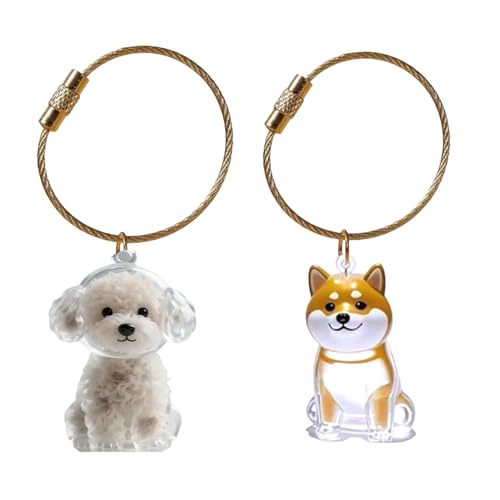 Dcaknri Miniatur Haustierpelze Keepsakes Holders Schlüsselbund Haarspeicheranhänger Anhänger Tasche Charmring Für Hundekatzen Und Kleine Tiere Haustier Haarsammler Schlüsselbund Dcaknri Miniatur Haustierpelze Keepsakes Holders Schlüsselbund Haarspeicheranhänger Anhänger Tasche Charmring Für Hundekatzen Und Kleine Tiere Haustier Haarsammler Schlüsselbund von Dcaknri