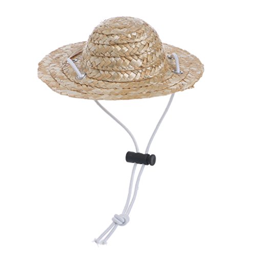 Dcaknri Sombrero-Hut mit verstellbarem Riemen, Strohhut, Größe S/L, für Kostüme, Dekoration Dcaknri Sombrero-Hut mit verstellbarem Riemen, Strohhut, Größe S/L, für Kostüme, Dekoration von Dcaknri