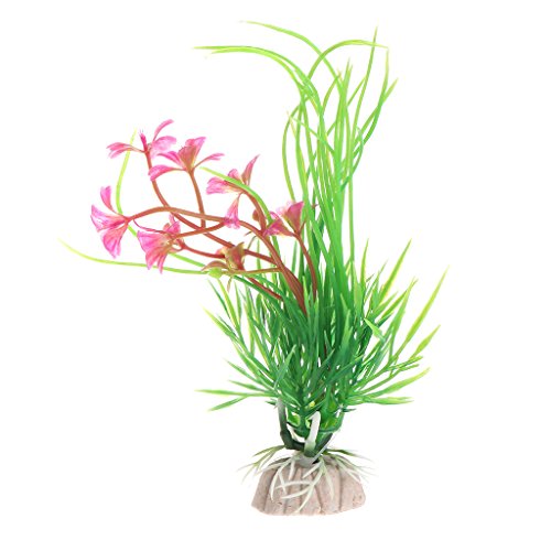 Dcfbkl Künstliche Unterwasser-Graspflanze für Aquarien, 13 cm, mit Sockeln für Aquarien, Dekoration, Aquarium-Set Dcfbkl Künstliche Unterwasser-Graspflanze für Aquarien, 13 cm, mit Sockeln für Aquarien, Dekoration, Aquarium-Set von Dcfbkl