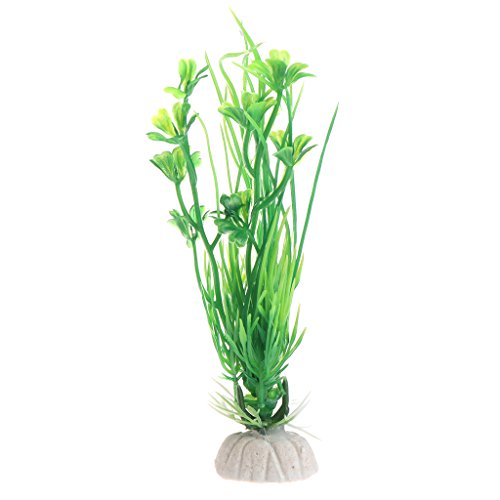 Dcfbkl Künstliche Unterwasser-Graspflanze für Aquarien, 13 cm, mit Sockeln für Aquarien, Dekoration, Aquarium-Set Dcfbkl Künstliche Unterwasser-Graspflanze für Aquarien, 13 cm, mit Sockeln für Aquarien, Dekoration, Aquarium-Set von Dcfbkl