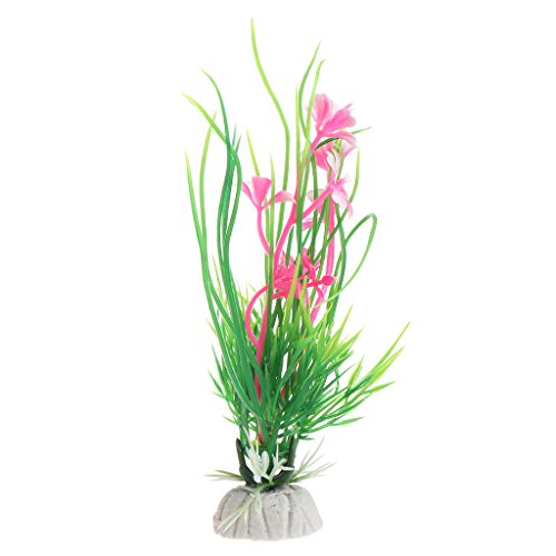 Dcfbkl Künstliche Unterwasser-Graspflanze für Aquarien, 13 cm, mit Sockeln für Aquarien, Dekoration, Aquarium-Set Dcfbkl Künstliche Unterwasser-Graspflanze für Aquarien, 13 cm, mit Sockeln für Aquarien, Dekoration, Aquarium-Set von Dcfbkl