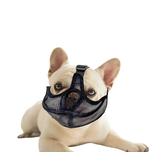 Dcsfadq Atmungsaktiver Maulkorb für Hunde, vorbeugend gegen Bellen und versehentliche Ingestion - Einstellbare Größe für kleine Hunde und Französische Bulldogge - Keine Abdeckung von Augen oder Nase Dcsfadq Atmungsaktiver Maulkorb für Hunde, vorbeugend gegen Bellen und versehentliche Ingestion - Einstellbare Größe für kleine Hunde und Französische Bulldogge - Keine Abdeckung von Augen oder Nase von Dcsfadq