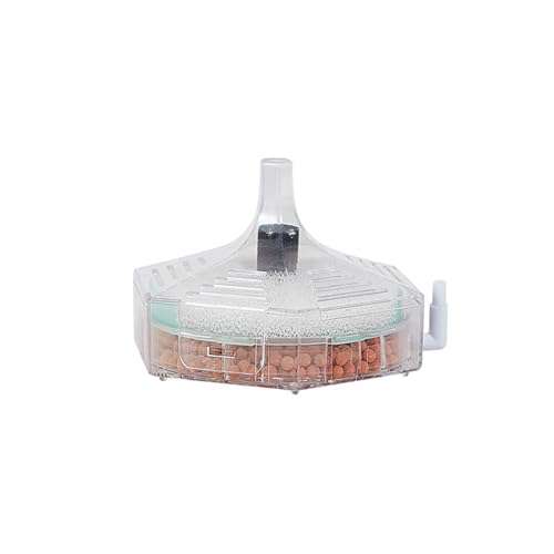 Ddujbtp Aquarium-Filter, leise Kartuschen, Schwamm-Filtration, Biofilter, Aquarium-Zubehör, Einsätze, Sauerstoff für Aquarien Ddujbtp Aquarium-Filter, leise Kartuschen, Schwamm-Filtration, Biofilter, Aquarium-Zubehör, Einsätze, Sauerstoff für Aquarien von Ddujbtp