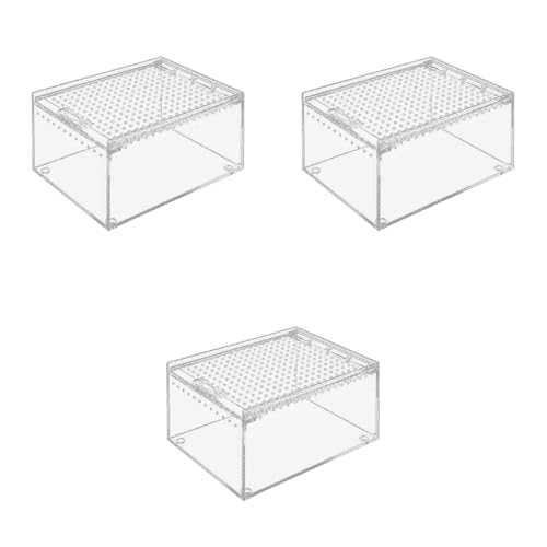 Reptilienlebensraum Terrarium Zuchtbox Acrylinsekten Fütterung Arboreal Varantula Gehäuse Skorpion Bärtezusammen Reptilienlebensraum Terrarium Zuchtbox Acrylinsekten Fütterung Arboreal Varantula Gehäuse Skorpion Bärtezusammen von Ddujbtp
