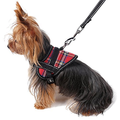 DealMux Reflective Welpen-Hundegeschirr Leine Verstellbare Kleiner Hund Sicherheitsweste Set von DealMux