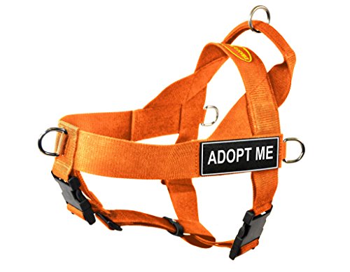 Dean & Tyler DT Universal No Pull Dog Harness with Adopt Me Patches, Small, Orange von Dean & Tyler