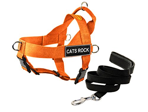 Dean & Tyler DT Universal No Pull Dog Harness with Cats Rock Patches and Puppy Leash, Orange, X-Large von Dean & Tyler
