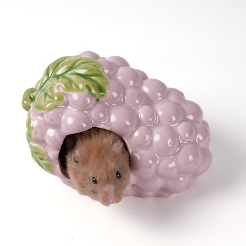 Deapeey Keramik-Hamster-Versteck, Trauben-Zwerghamsterhaus, Meerschweinchen-Lebensraum, Dekoration, Versteck für Rennmäuse, kühles Bett für alle Jahreszeiten Deapeey Keramik-Hamster-Versteck, Trauben-Zwerghamsterhaus, Meerschweinchen-Lebensraum, Dekoration, Versteck für Rennmäuse, kühles Bett für alle Jahreszeiten von Deapeey