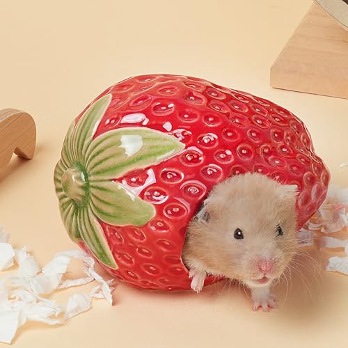 Deapeey Keramik-Hamsterversteck Erdbeer-Zwerghamsterhaus, syrische Hamsterhütte, Nest, Lebensraumdekoration, Versteck für Rennmäuse, kühles Bett für alle Jahreszeiten, Rot Deapeey Keramik-Hamsterversteck Erdbeer-Zwerghamsterhaus, syrische Hamsterhütte, Nest, Lebensraumdekoration, Versteck für Rennmäuse, kühles Bett für alle Jahreszeiten, Rot von Deapeey